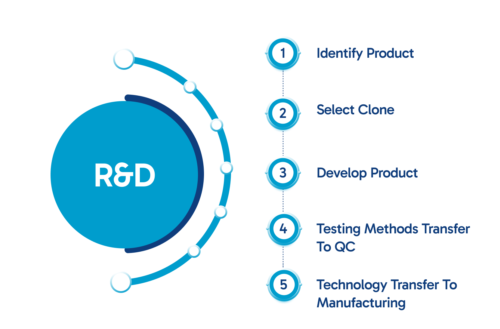 R&D Process