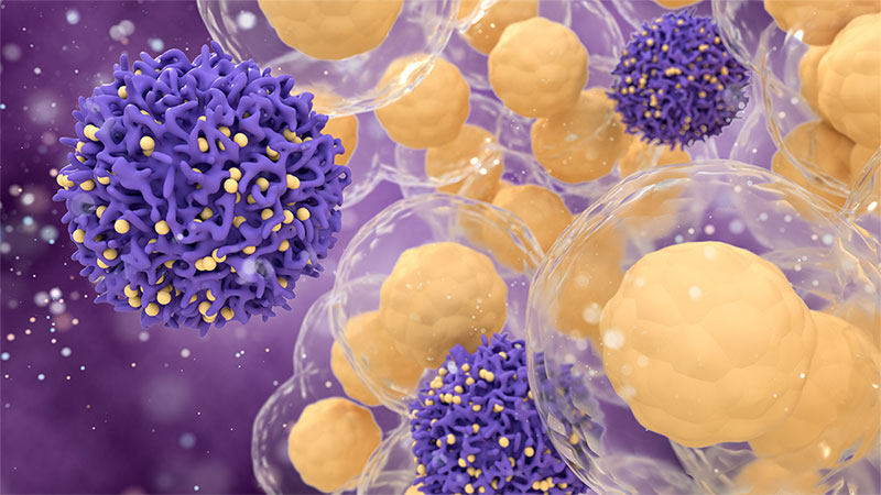Engineered Nanoparticles for the Delivery of Anticancer Therapeutics